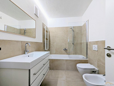 bathroom with sink, toilet, bidet, shower and bathtub combination