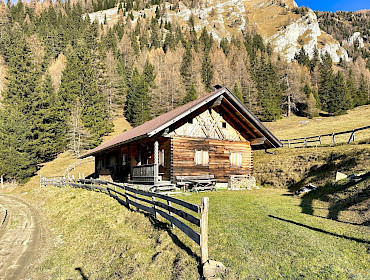 Alm mit Wiese, Wald und Alpe