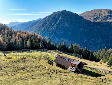 Alm mit Wiese, Wald und Alpe