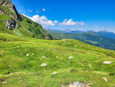 Alm mit Wiese, Wald und Alpe
