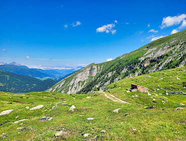 Alm mit Wiese, Wald und Alpe