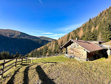 Alm mit Wiese, Wald und Alpe