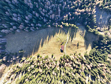 Alm mit Wiese, Wald und Alpe