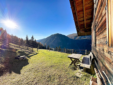 Alm mit Wiese, Wald und Alpe