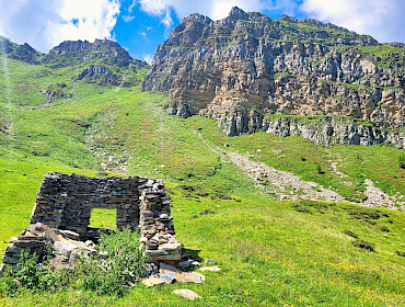 Alm mit Wiese, Wald und Alpe