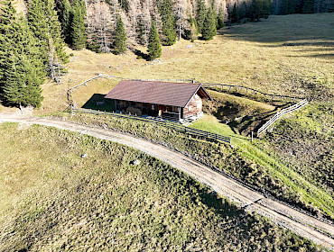 Alm mit Wiese, Wald und Alpe