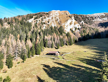 Alm mit Wiese, Wald und Alpe