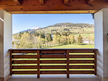 Balkon im 1.Stock