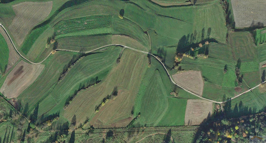 Landwirtschaftliches Grundstück (Wiese) in KG Stilfes Bild