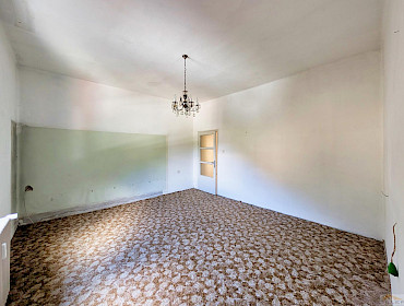 helles, freundliches Zimmer mit Teppichboden