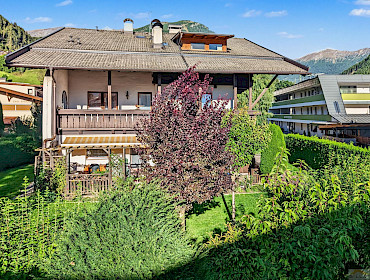 Vista panoramica sul verde Vista panoramica sul verde