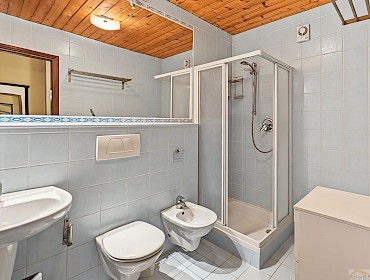 bathroom with shower and bidet