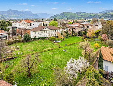 Weingarten
