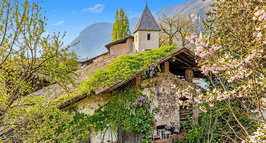 Historisches Wirtschaftsgebäude mit Weingarten zum Verkauf Bild