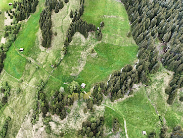Landwirtschaftlicher Grund (Wiese) in KG Telfes