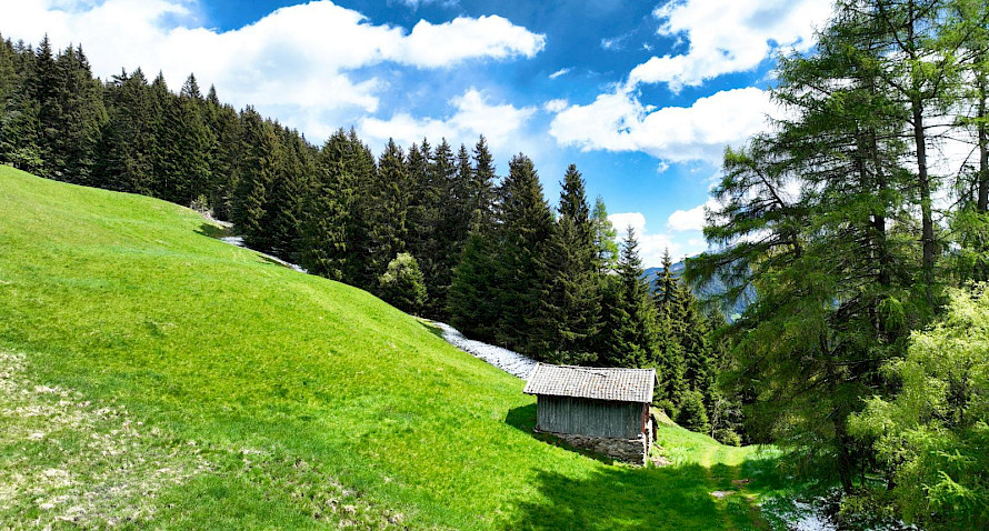Landwirtschaftliches Grundstück (Wiese) in KG Telfes Bild