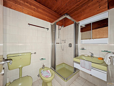 bathroom with a shower and bidet
