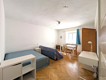 Wohnzimmer/Schlafzimmer
